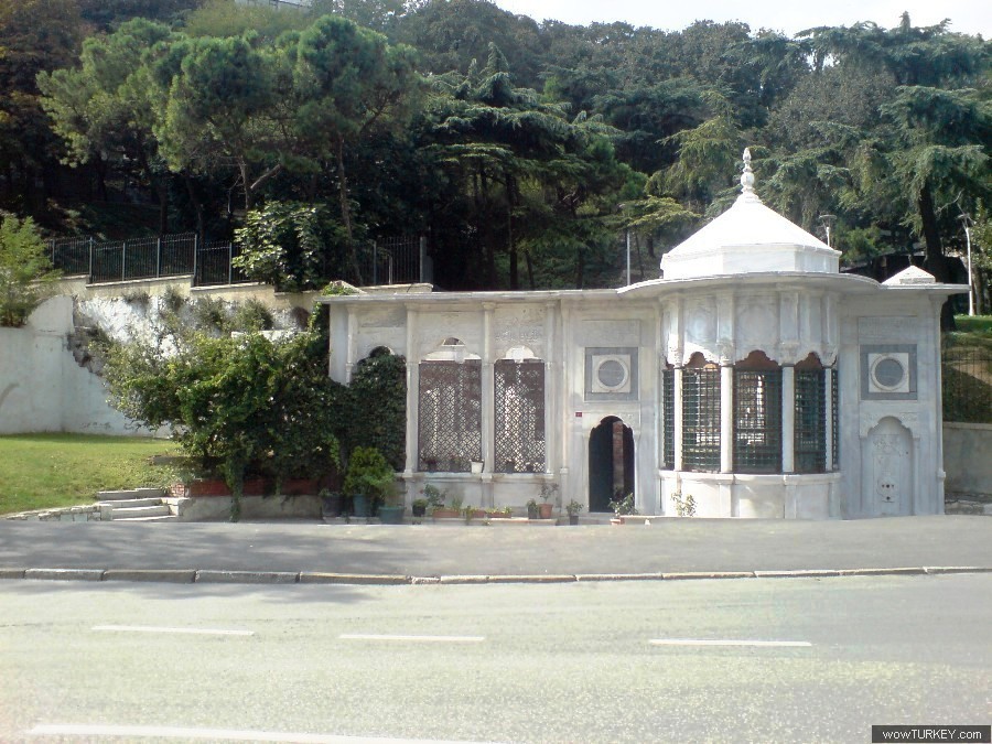ofaltuntas DSC05851