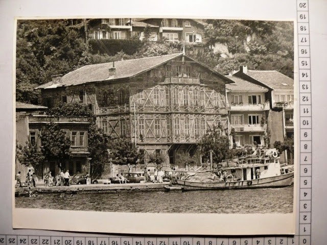 lotno (234)hohıo