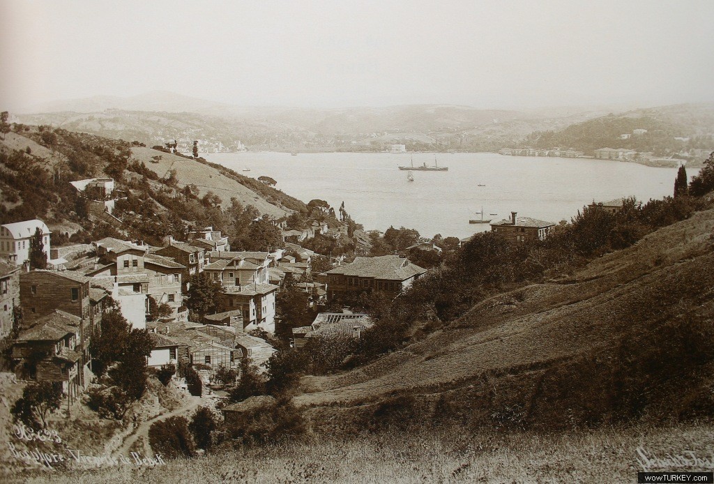 fikri aktan bebek  1890