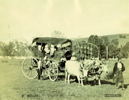 KADINLAR — Arşiv görseli