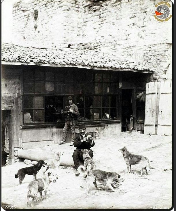 SURLAR — Arşiv görseli