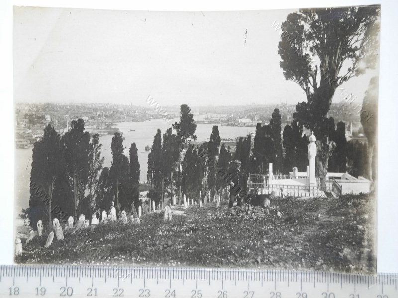 213Resim