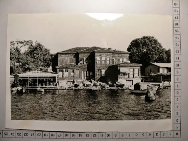 lotno (218)lıpy