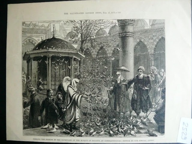 BEYAZIT — Arşiv görseli