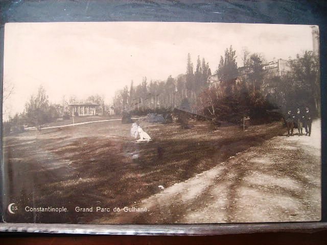 GÜLHANE — Arşiv görseli