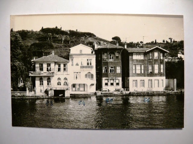 lotno (239)jjkbjbjk