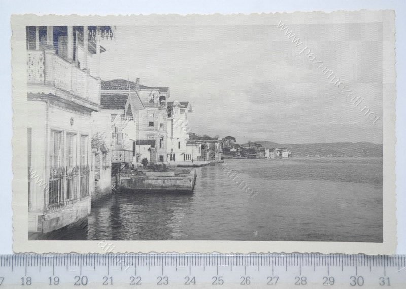 ynikoy