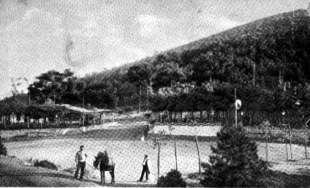 018- Adalar1