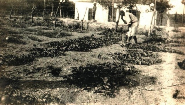 girit kandiye horasınlı dergahı baçesinde çalışan derviş