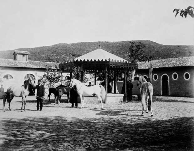 MUHTELİF — Arşiv görseli
