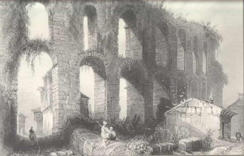 bozdoayancrop