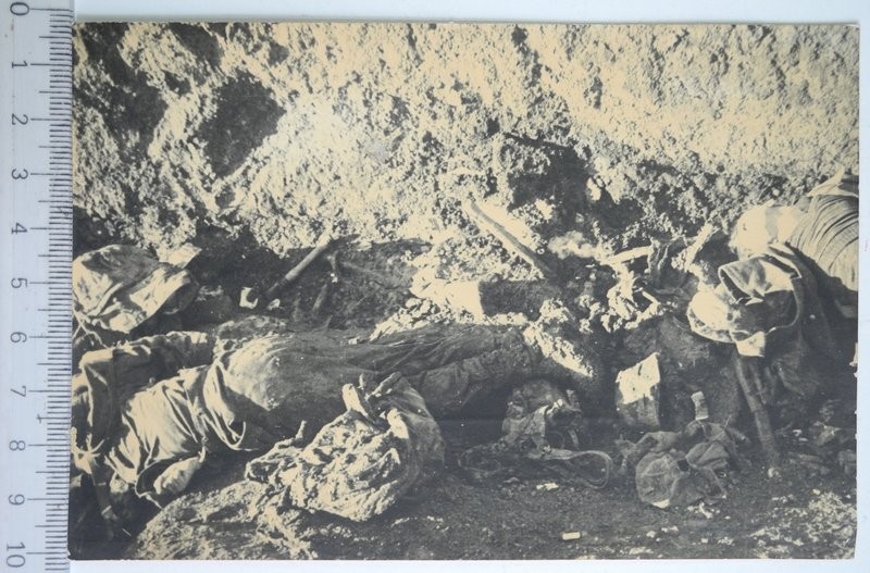 balkan şehidlerimiz