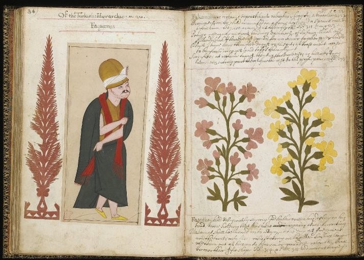 0A1123 OTTOMANS (48)