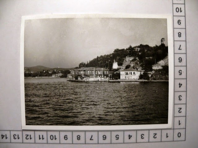 lotno (489)z