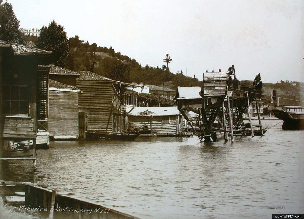 fikri aktan bebek dalyani 1880
