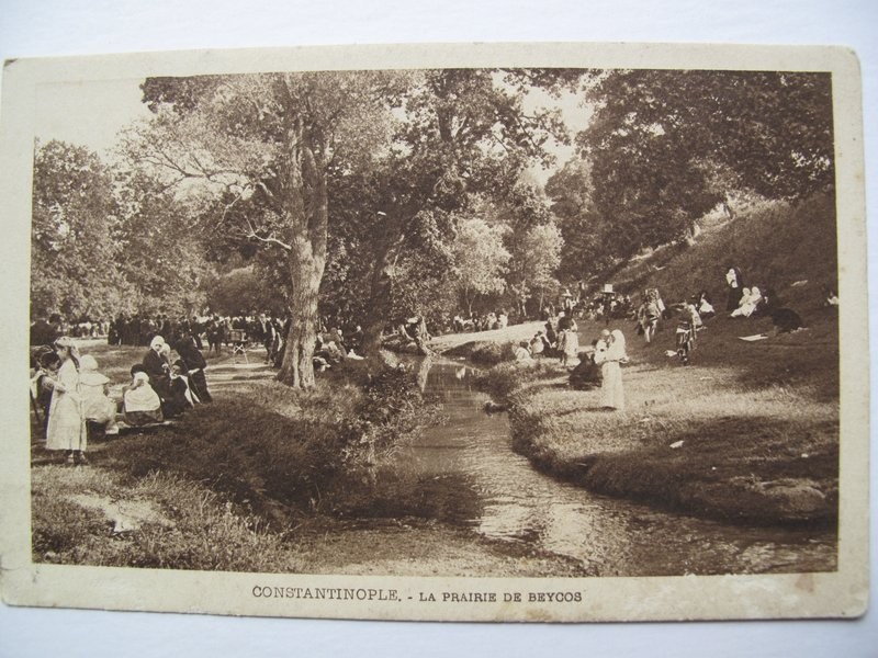 beykoz-mesire yeri