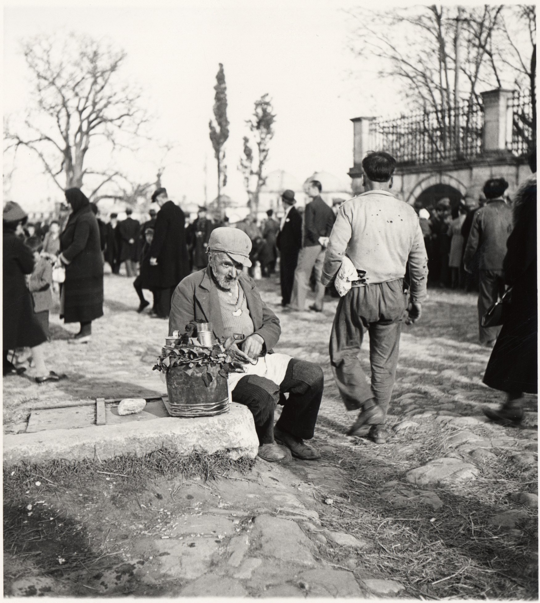 ŞERBETÇİ
