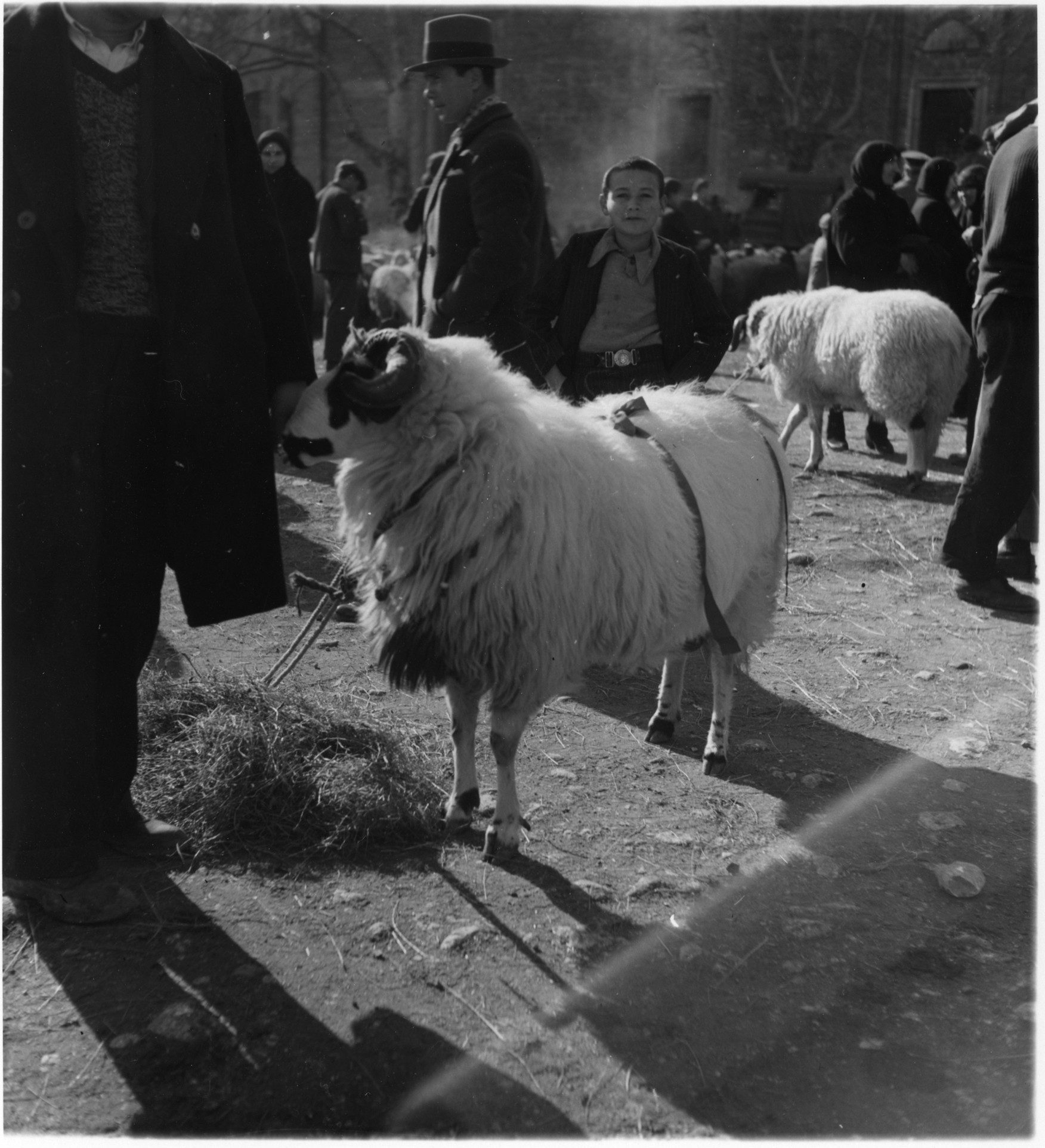 2-ARTAMONOFF ARŞİVİ — Arşiv görseli
