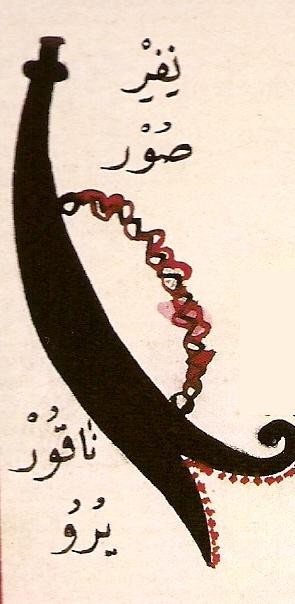 tarama000113