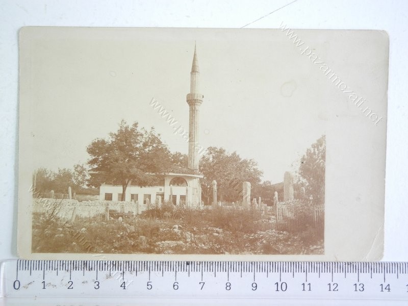 251Resim