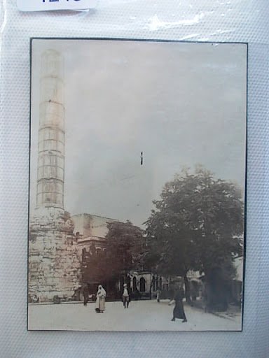 lotno (1ıg249)