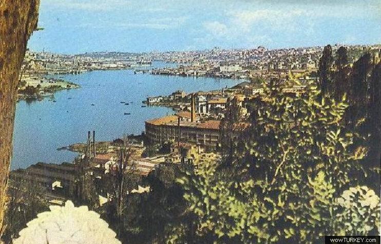 tarik 34 piyerlotiden halic