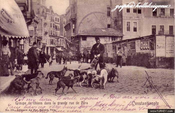 sguner 1903TARIHLIPERAVESOKAKKOPEKLERI