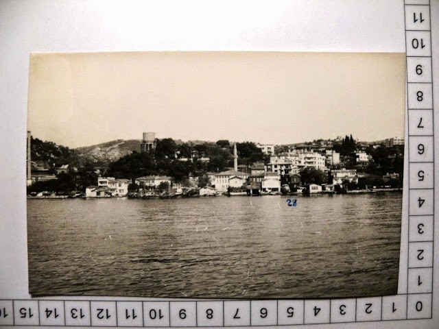 lotno (484)z