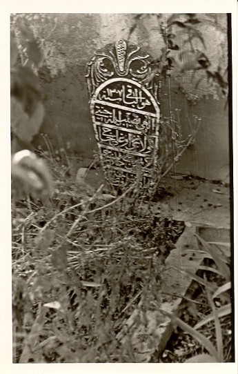 26d