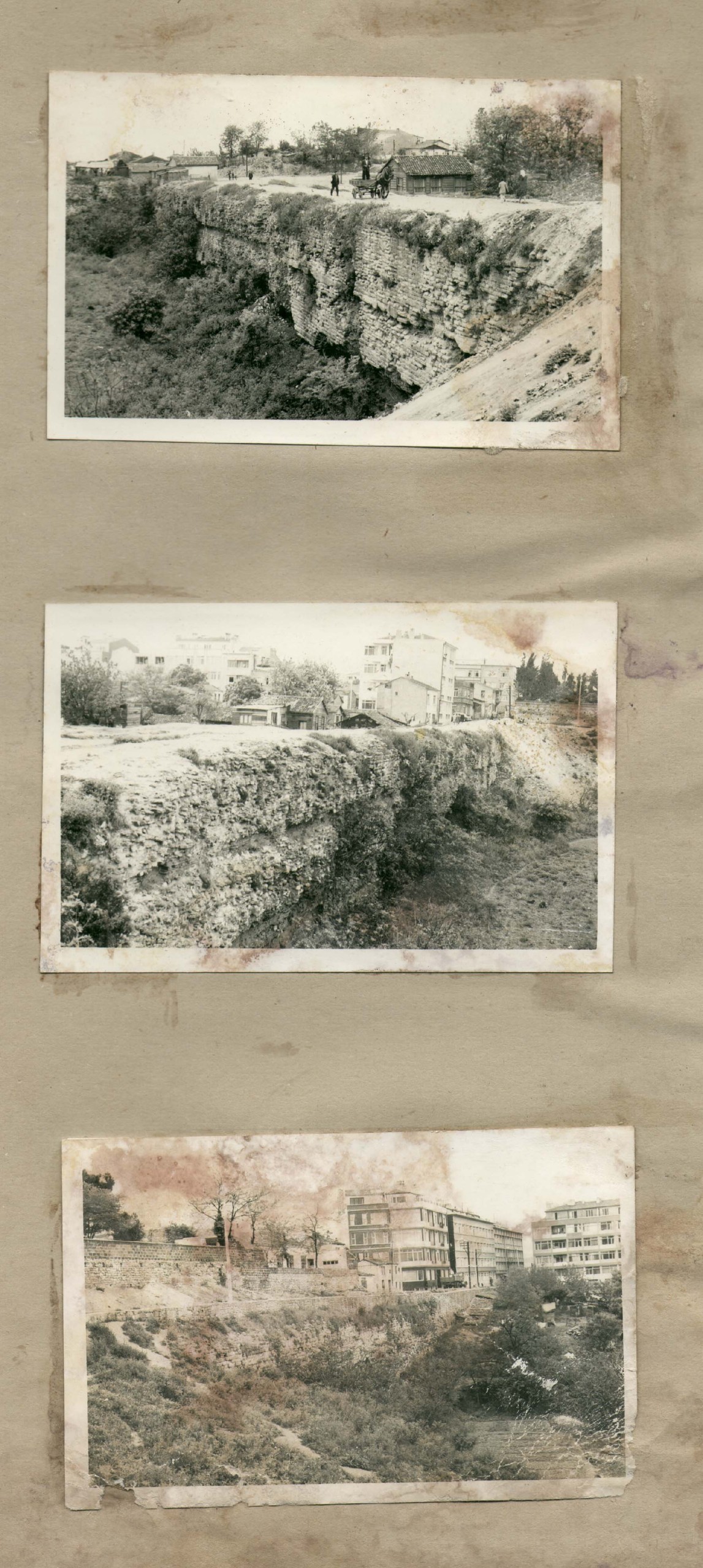 MOKİUS SARNICI,ÇUKURBOSTAN — Arşiv görseli
