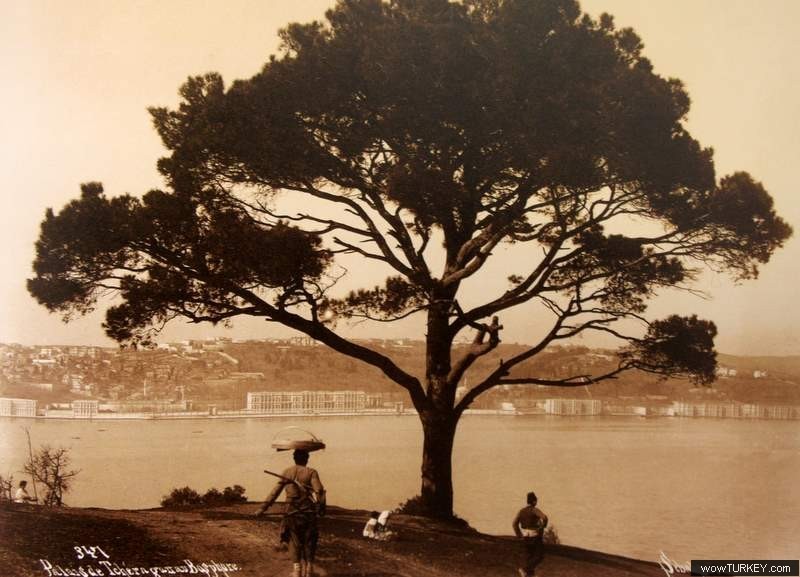 1890 kuzguncuktan çırağan sarayı