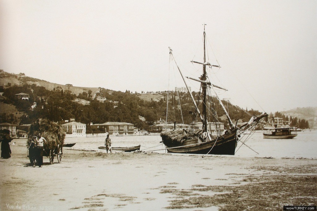 fikri aktan bebek sahili 1880