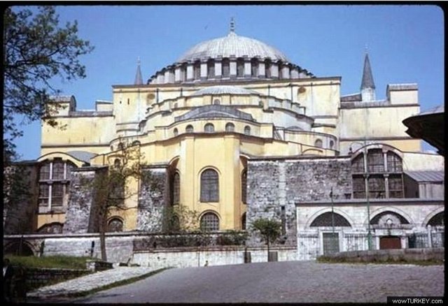 yilmaz buktel buktel5295