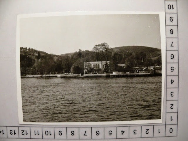 lotno (458)z