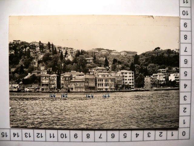 lotno (243)cjö