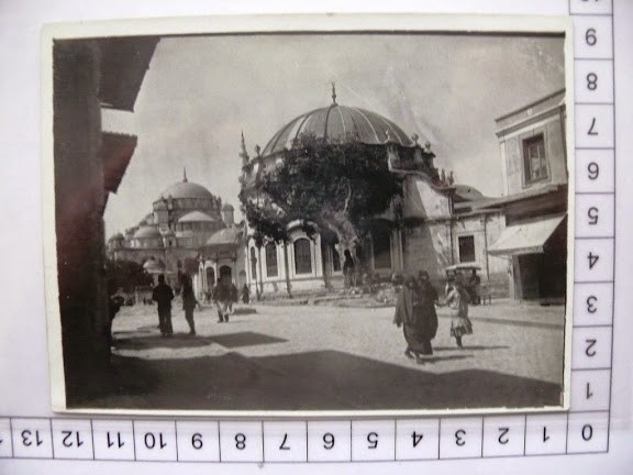 lotno (1274) (1)