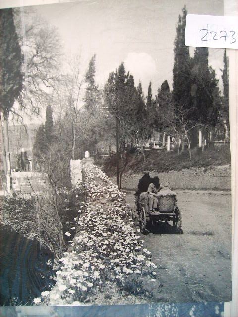 Erenköy