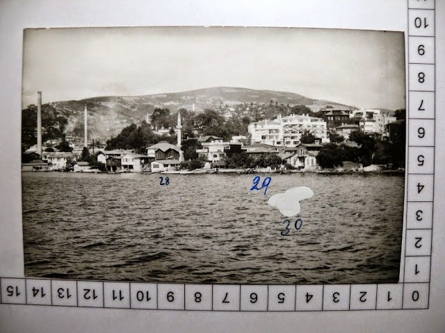 lotno (473)D