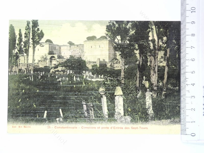 1197Image