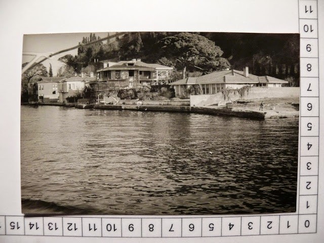 lotno (478)z