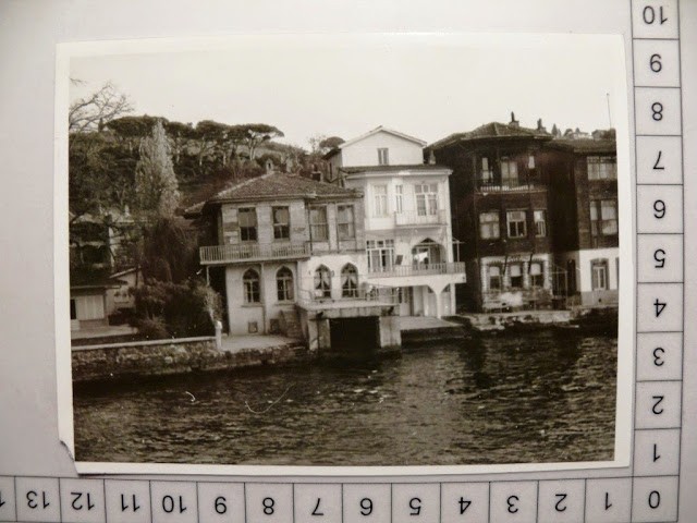 lotno (454)I