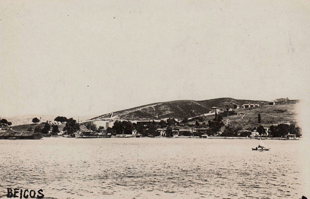 BEYKOZ