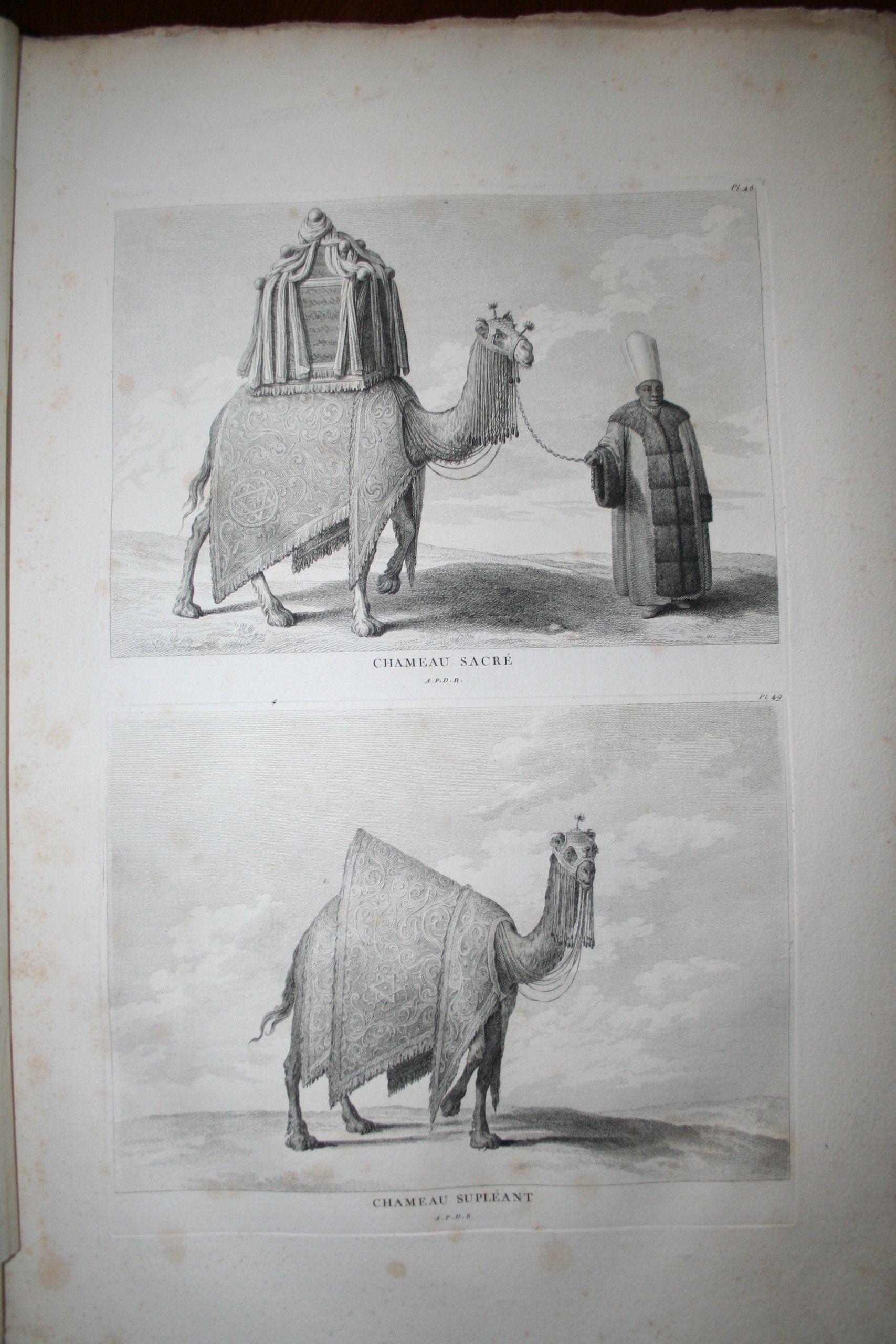 Tablo De General — Arşiv görseli