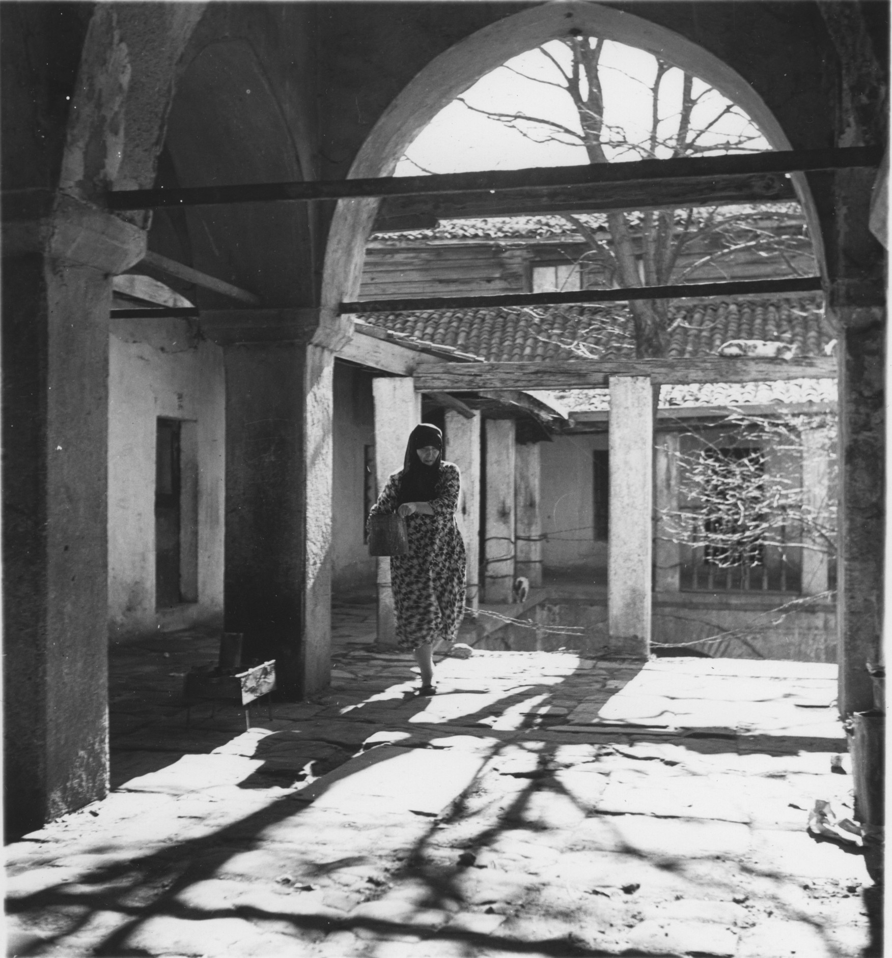 2-ARTAMONOFF ARŞİVİ — Arşiv görseli