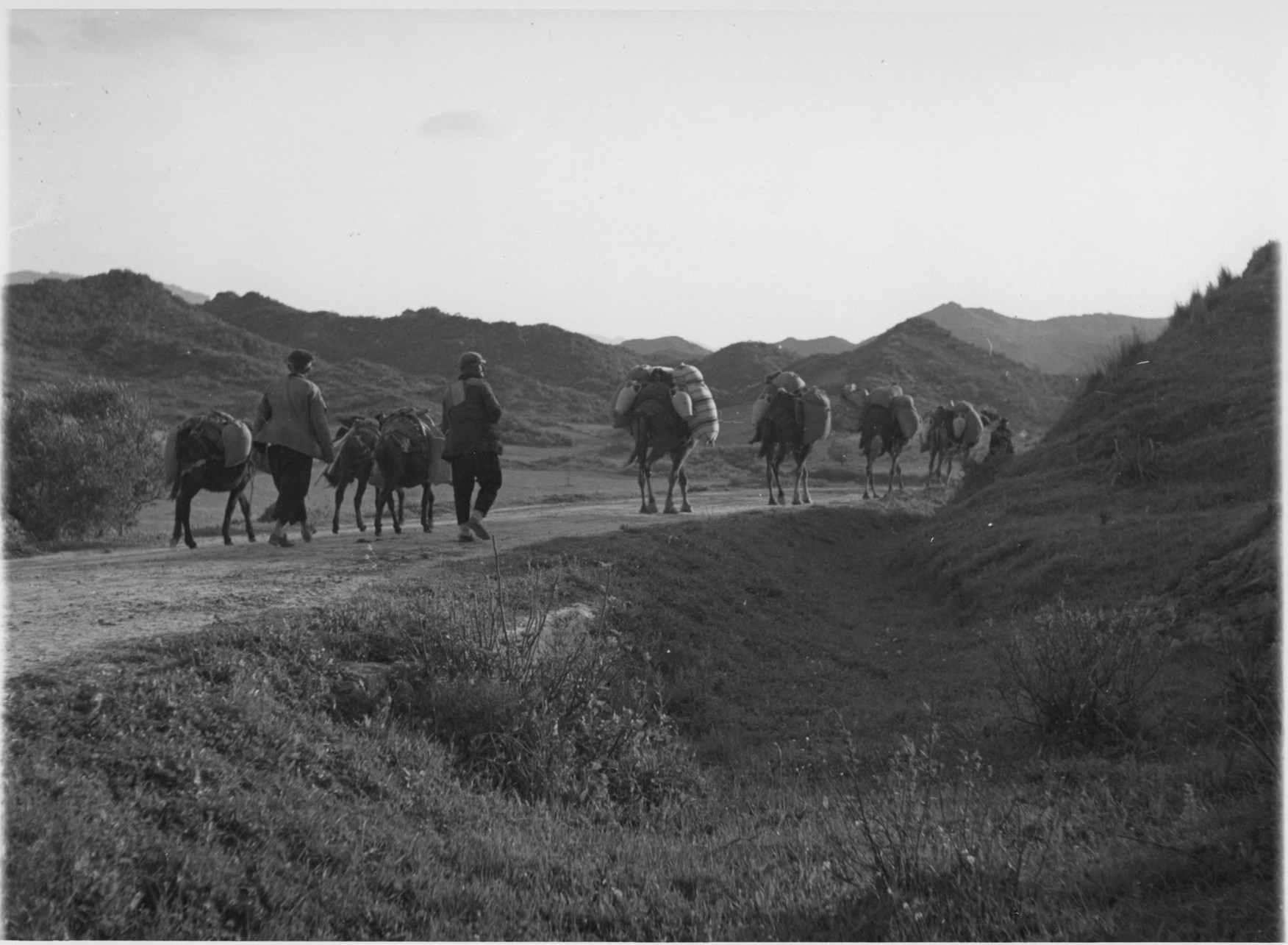 EGE 1940 2