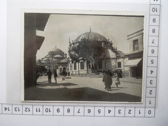 lotno (1274) (3)