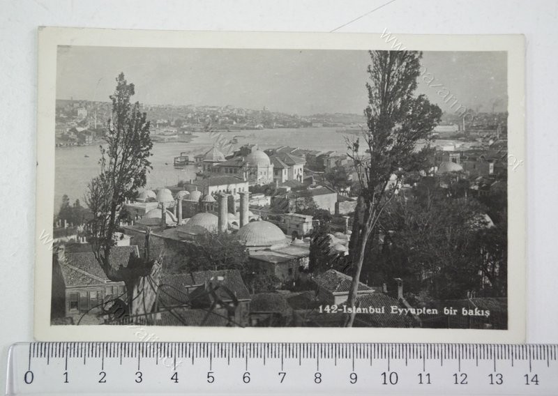 253Resim