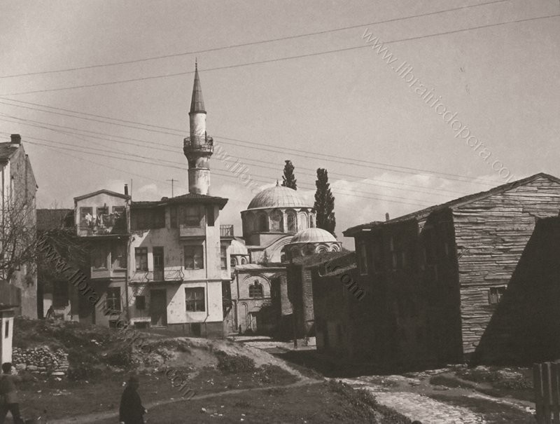 216Resim