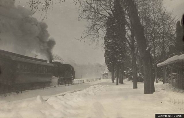 ceda cezgen erenkoy 1929