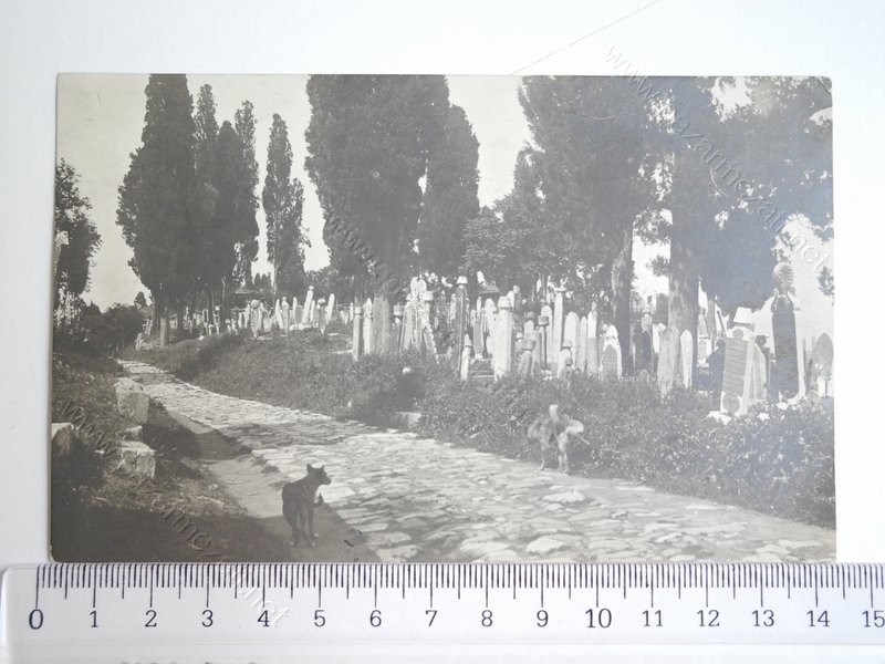 1330Resim
